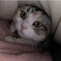 会員画像