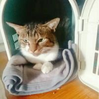 会員画像