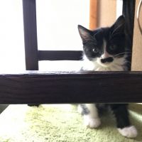 trois 会員画像