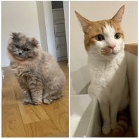 ごうたも 会員画像