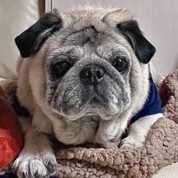 moumam8989 会員画像