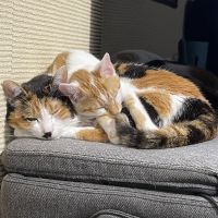 てみー 会員画像
