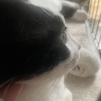 はなわ26さん