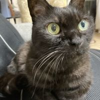 プリ蔵 会員画像