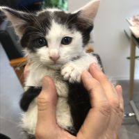 NORAの方舟 会員画像