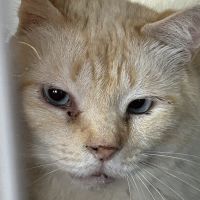 個人でコツコツやってますさん