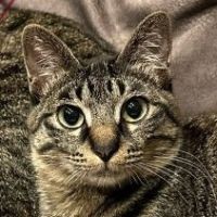 さとあーと 会員画像