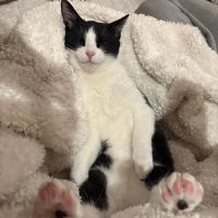 すずゆさん