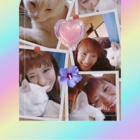 むむ姉さん