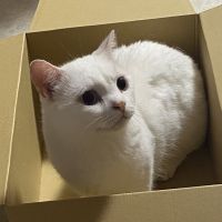 雪0501 会員画像