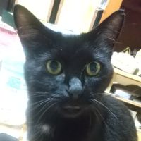 あいまる1023さん
