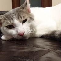 会員画像