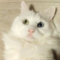 会員画像