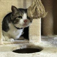 チャム吉 会員画像