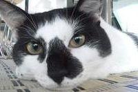 よしお。 会員画像