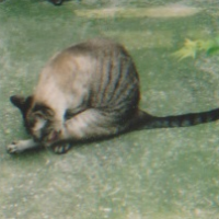 会員画像