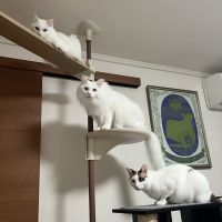 みかづき 会員画像