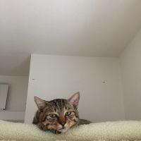 会員画像
