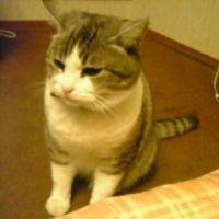 みみも 会員画像