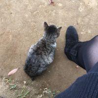 会員画像