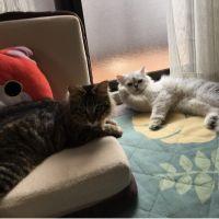 ラムさん 会員画像