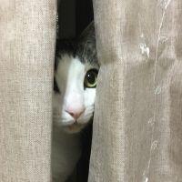 まめひろ 会員画像