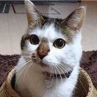 はるくり 会員画像