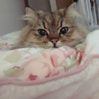 会員画像