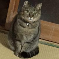 まっも 会員画像