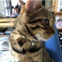 meg1723 会員画像