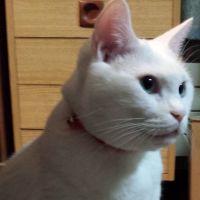 ときさん 会員画像