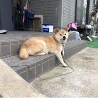 会員画像