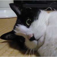 会員画像
