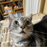 きょうこ1201 会員画像
