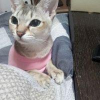 サミ 会員画像