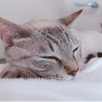 coco_s 会員画像