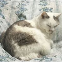 もっち64さん
