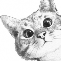 チャッピーモモさん