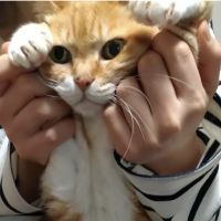 わっきー@ 会員画像