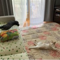 ゆきち358 会員画像