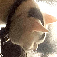 りんご倉蔵 会員画像