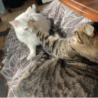 ミノアカ 会員画像