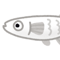 めだかねこ 会員画像