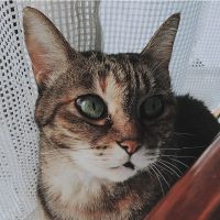 まあP 会員画像