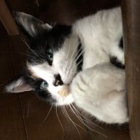 ネム子さん