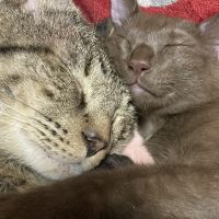 まりたろさん