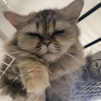 ユナユナデラックスさん
