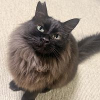 味ぽんさん