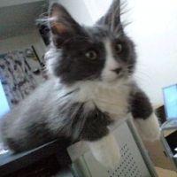 会員画像