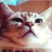 ちぃーたむ 会員画像